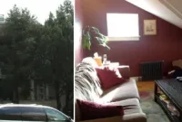 Featured Property 353 Rugby Road