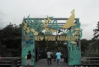 Coney Aquarium Eyes Spring Reopening