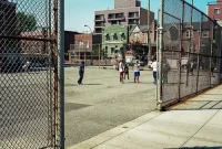 Thursday’s Digital Digest