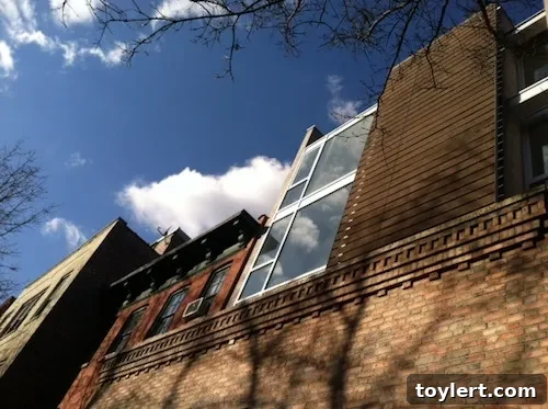 Tuesday Blog Lowdown 2 A charming street view of Brooklyn brownstone buildings, reflecting the architectural character of neighborhoods like Carroll Gardens.