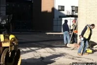 P.S. 133: A Garden Undelivered