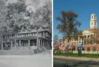 The Enduring Spirit of The Crescent Athletic Club Bay Ridge