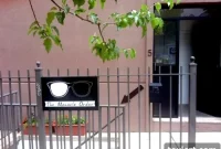 Williamsburg’s New Go-To for Shades