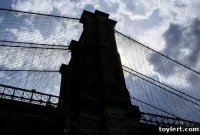 Tuesday’s Blog Reel