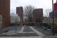 Green Mountain Goodness Lands in Fort Greene