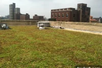 Bishop Loughlin High School Cultivates Brooklyn’s Second Largest Green Roof