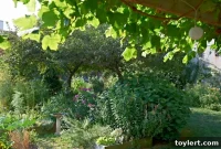 Design Brooklyn: Summit Garden – Cultivating the Borough’s Greenest Block