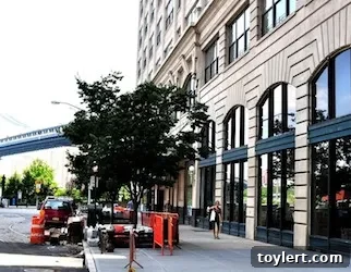 Atrium Dumbo's Grand Opening Kicks Off Today 2 Atrium Dumbo restaurant interior with natural light and elegant decor