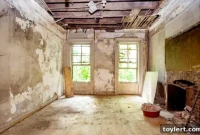 Fort Greene Brownstone Grand Yet Decayed Asks 2.75 Million