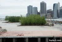Brooklyn Bridge Park Cultivates Vibrant Greenery on Pier 3 Uplands