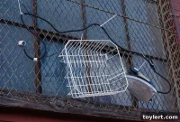 Monday’s Digital Brew