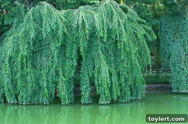 Hump Day Hyperlinks 2 A serene scene depicting a hand gently touching the surface of calm water, symbolizing connection and reflection amidst urban growth. An emblematic image representing Brooklyn's harmonious blend of bustling city life and tranquil moments.