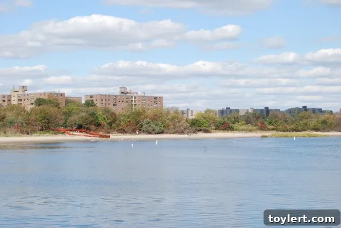 Times Uncovers Canarsie's Heartbeat 2 Canarsie Brooklyn homes street view