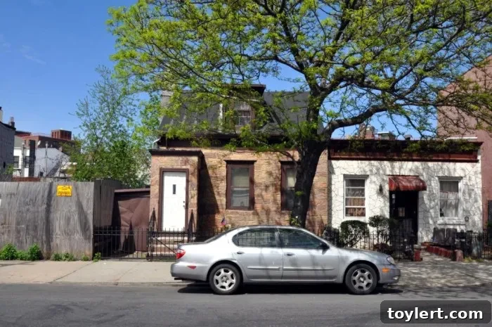 897-901 Herkimer Street Daily Feature 2 897 Herkimer St. CB, PS 2 - Historic Semi-Detached Brick Houses in Brooklyn
