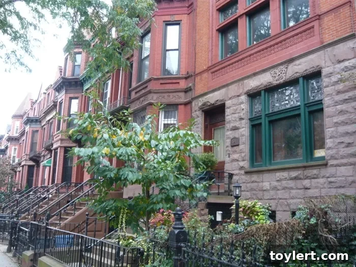Monday Round-up 2 Classic Brooklyn stoops lining a street, reflecting the borough's historic charm and residential character.
