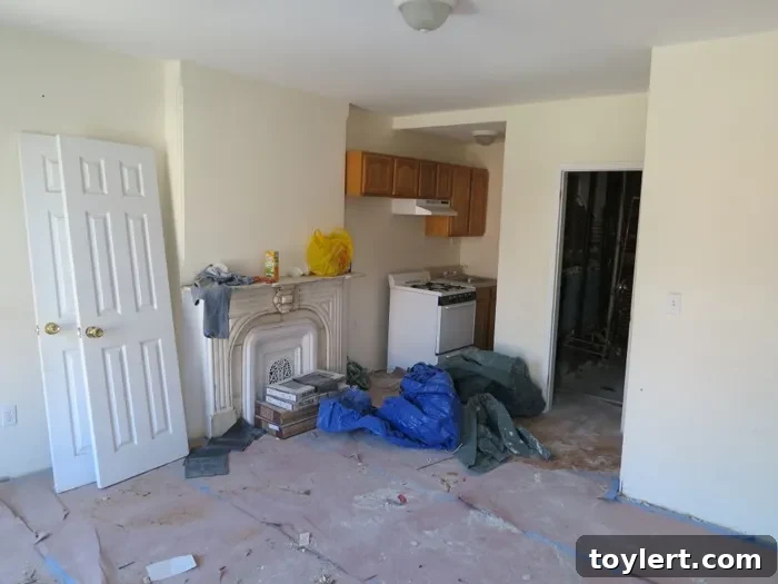 Bed Stuy Renovation Journey: First 203K Milestone 2 FHA 203K Renovation Inspection Process