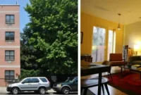 Spotlight Property 895 Myrtle Avenue Unit 1B