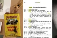 Sweet Transformation: Kara Walker’s Art at Domino Sugar Refinery