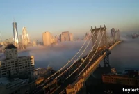 Mist Shrouds Dumbo at Dawn