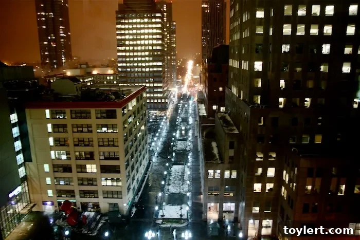 Ratner MakerBot CEOs Lead Downtown Brooklyn Partnership 2 MaryAnne Gilmartin and Bre Pettis, co-chairs of Downtown Brooklyn Partnership