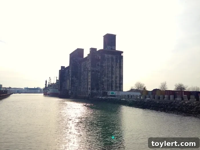 Thursday's Blog Roundup 2 A vibrant, bustling street scene in Brooklyn, capturing the essence of local life and urban energy.