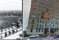 Eastern Parkway’s Evolution: A Northern Brooklyn Vista