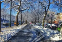 Friday’s Blog Digest