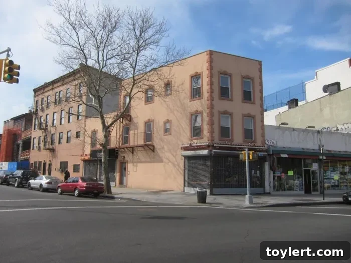 Realty Collective Unveils Clinton Hill Office 2 Realty Collective's New Office at 466 Grand Avenue in Clinton Hill, Brooklyn