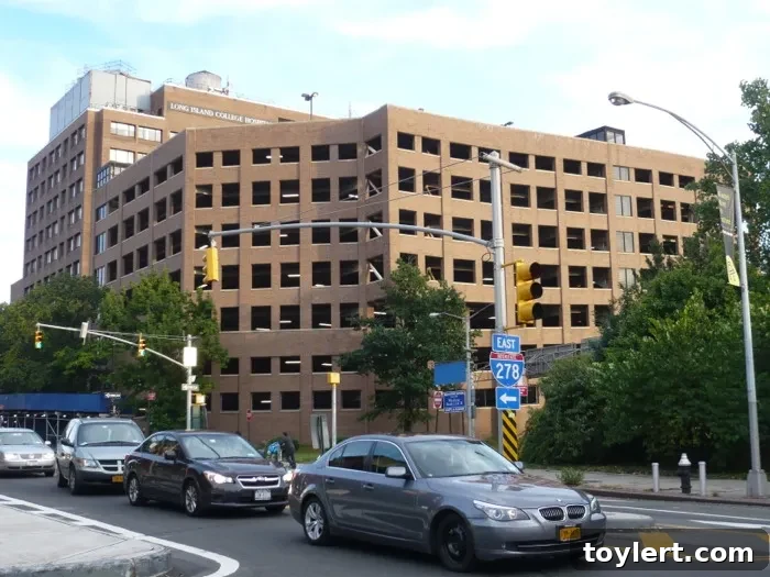 50-Story Towers Planned for Cobble Hill to Fund LICH Hospital Project 2 lich-121713