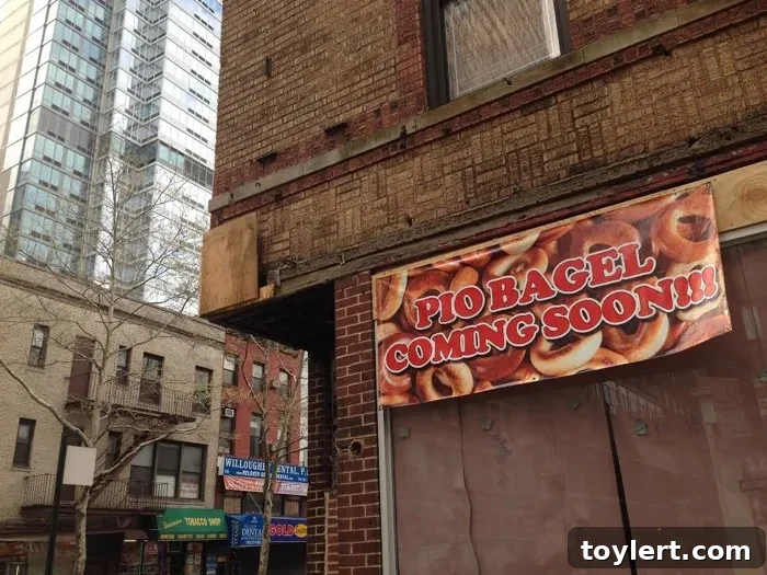 Ditching the Drumstick, Embracing the Dough 2 Pio Bagel Downtown Brooklyn