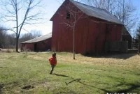Brownstoner Upstate: Rustic Retreats