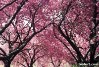 Thursday’s Blog Roundup