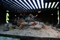 Park Grills Under Fire: Residents Demand a Ban