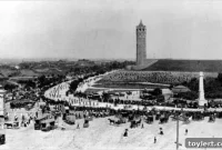 Summer’s Spontaneous Odyssey: The Journey Continues