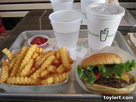 Shake Shack Burgers, Fries, and Shake in Downtown Brooklyn