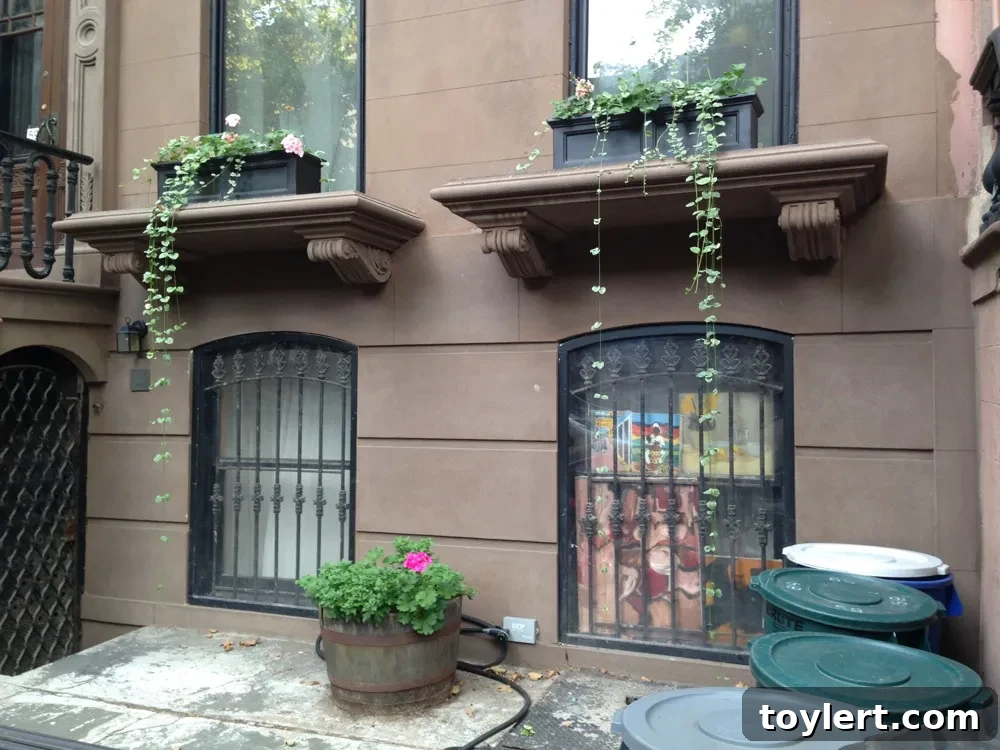 Friday Finds 2 fort-greene-window-boxes-100914