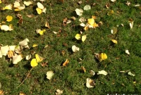 Thursday’s Curated Finds