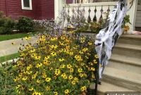 Monday’s Fresh Finds