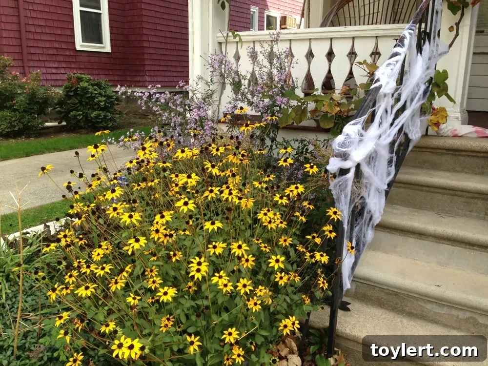 Monday's Fresh Finds 2 A detailed view of intricate cobwebs, symbolizing interconnectedness and the hidden threads that weave through Brooklyn's diverse fabric.