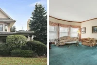 Daily Showcase 459 East 19th Street