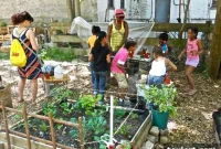 Urban Housing Boom: City to Build on 122 Plots and Gardens