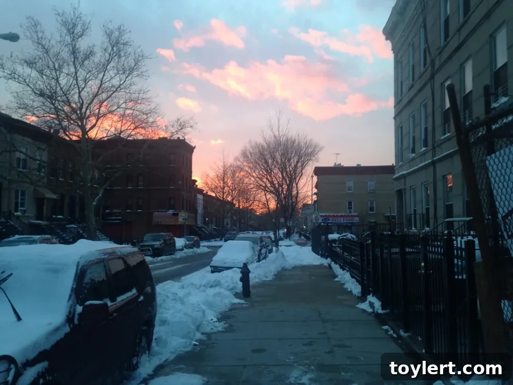 Midweek Blog Roundup 2 sunset-juno-decatur-012715