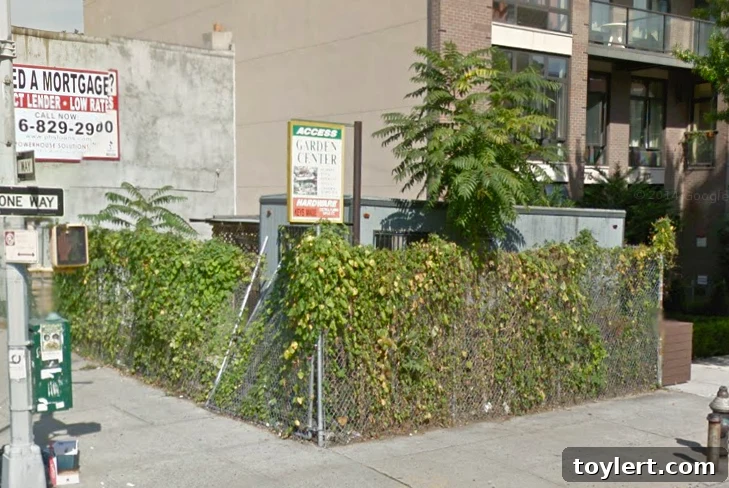 Rogers Avenue in Crown Heights Poised for Five-Story Building Project 2 83 rogers avenue crown heights 22015