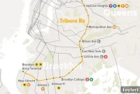 Subway Safari: Explore Brooklyn’s Best