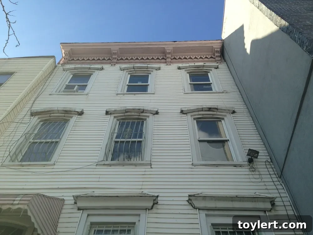 Hump Day Highlights 2 Vibrant Brooklyn Street Scene Reflecting Community and Innovation