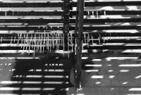 Tuesday’s Curated Reads