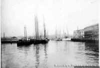 Brooklyn Walkabout Maid Murder and the Walsh Boys Part Two