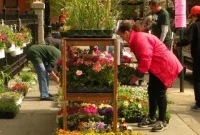 Cobble Hill’s Green Oasis Plant Sale Flourishes