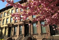 The Great Tree Debate for Your Neighborhood