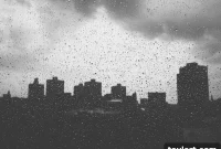 Clinton Hill’s Putnam Triangle Plaza Ignites Controversy